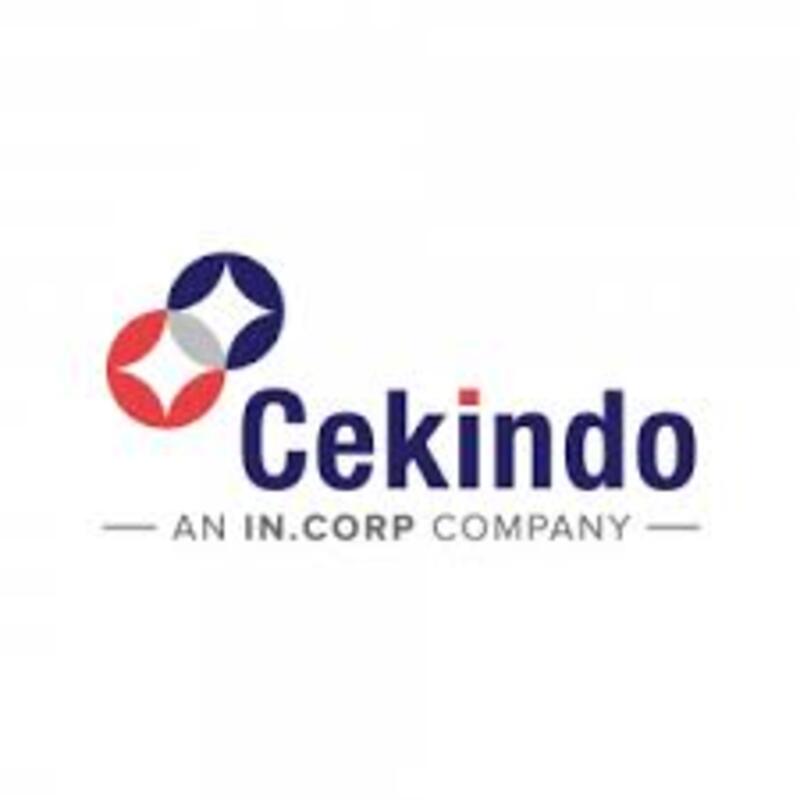 Sales & Marketing PT Cekindo Business International